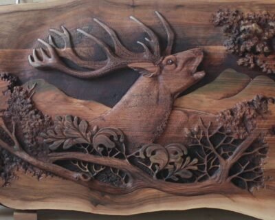 617590790_25488623264140910_727599578333614539_n