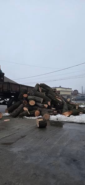 Lemne tăiate la metru salcie și plop!!