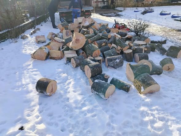 Vând lemne de foc fag pentru detalii sunați 0737112415