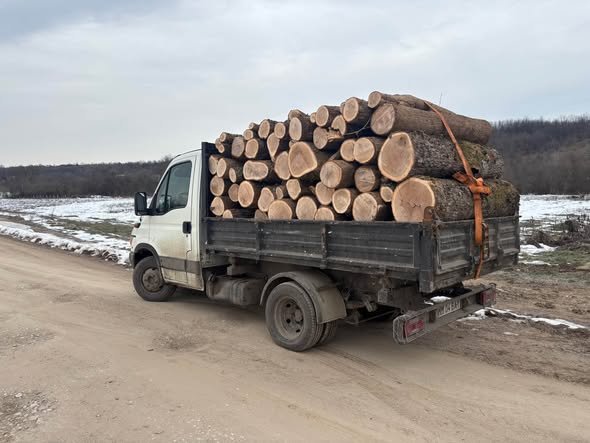 ‼️‼️ Vindem lemne de foc !🔥 🪵 Doar esența tare: stejar(80%),fag,carpen! Sunați la:0741456173