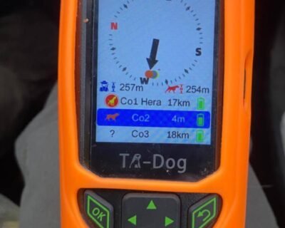 618164308_122113055493153070_8536574018553336029_n