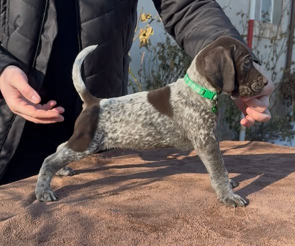 Disponibili pentru rezervare 0762325797