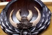 Panoplii pentru trofee de mistreț sculptate pe lemn masiv la cerere se pot personaliza