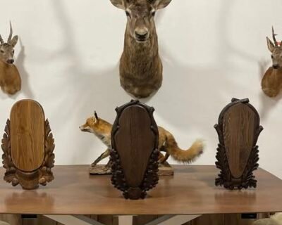 618398397_122192556014453794_1385938045323256779_n