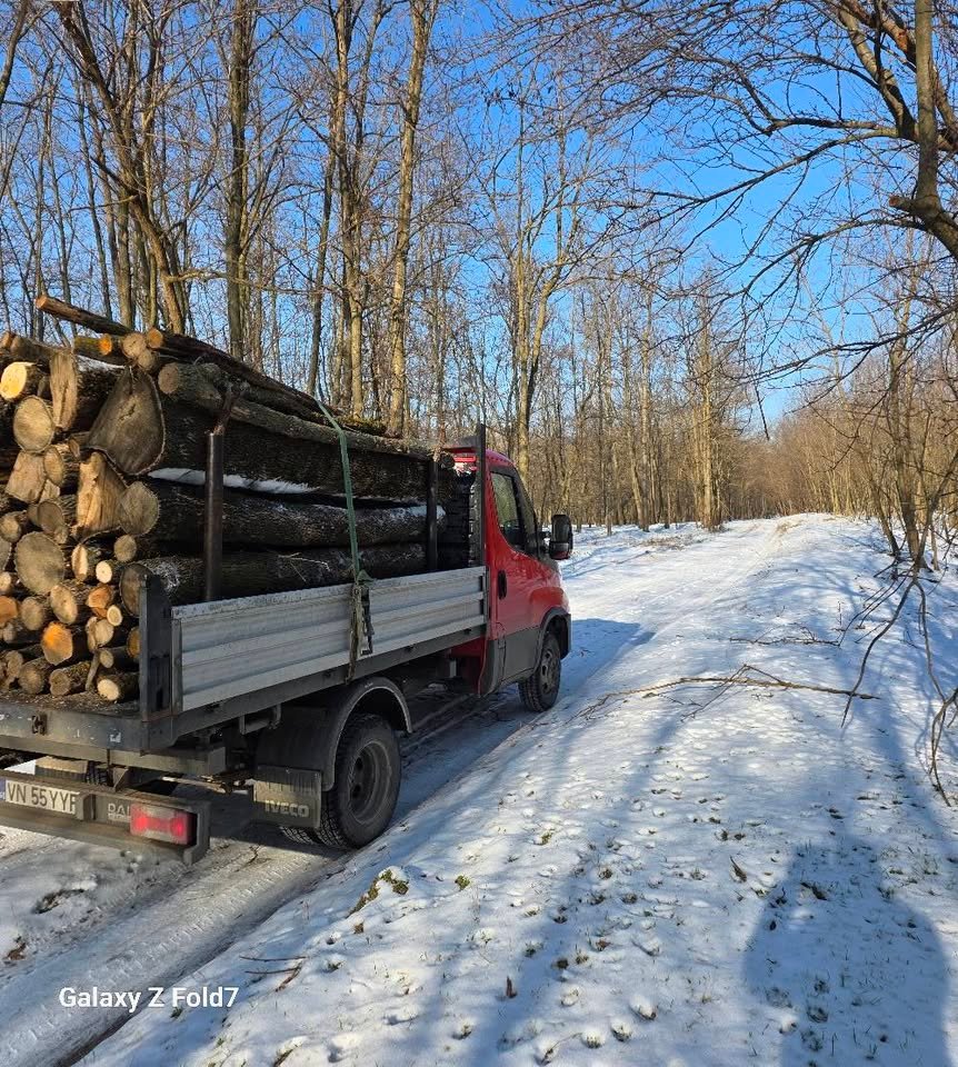 Lemn foc frasin uscat 0761 862 538