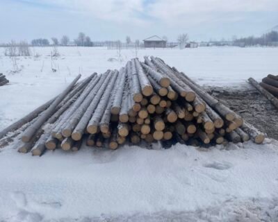 618968944_3765290693774418_647810629224453109_n