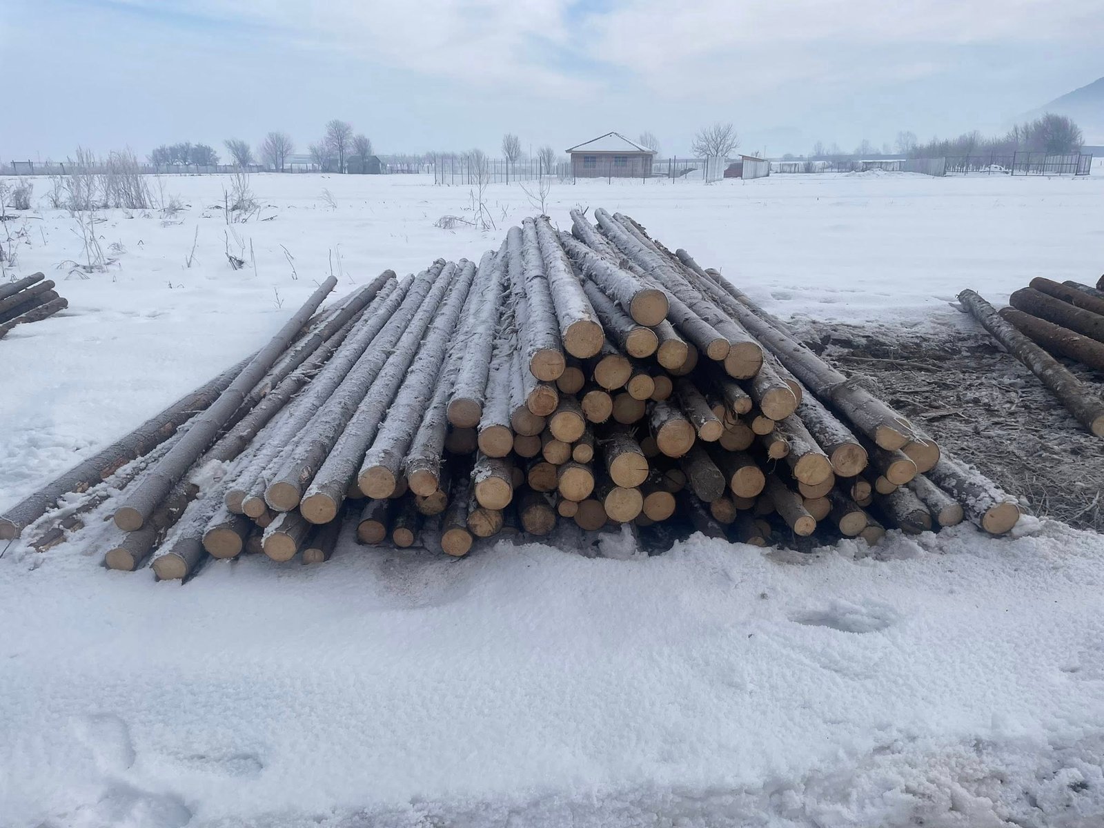 Vand bile manele lungimi 4-5-6m