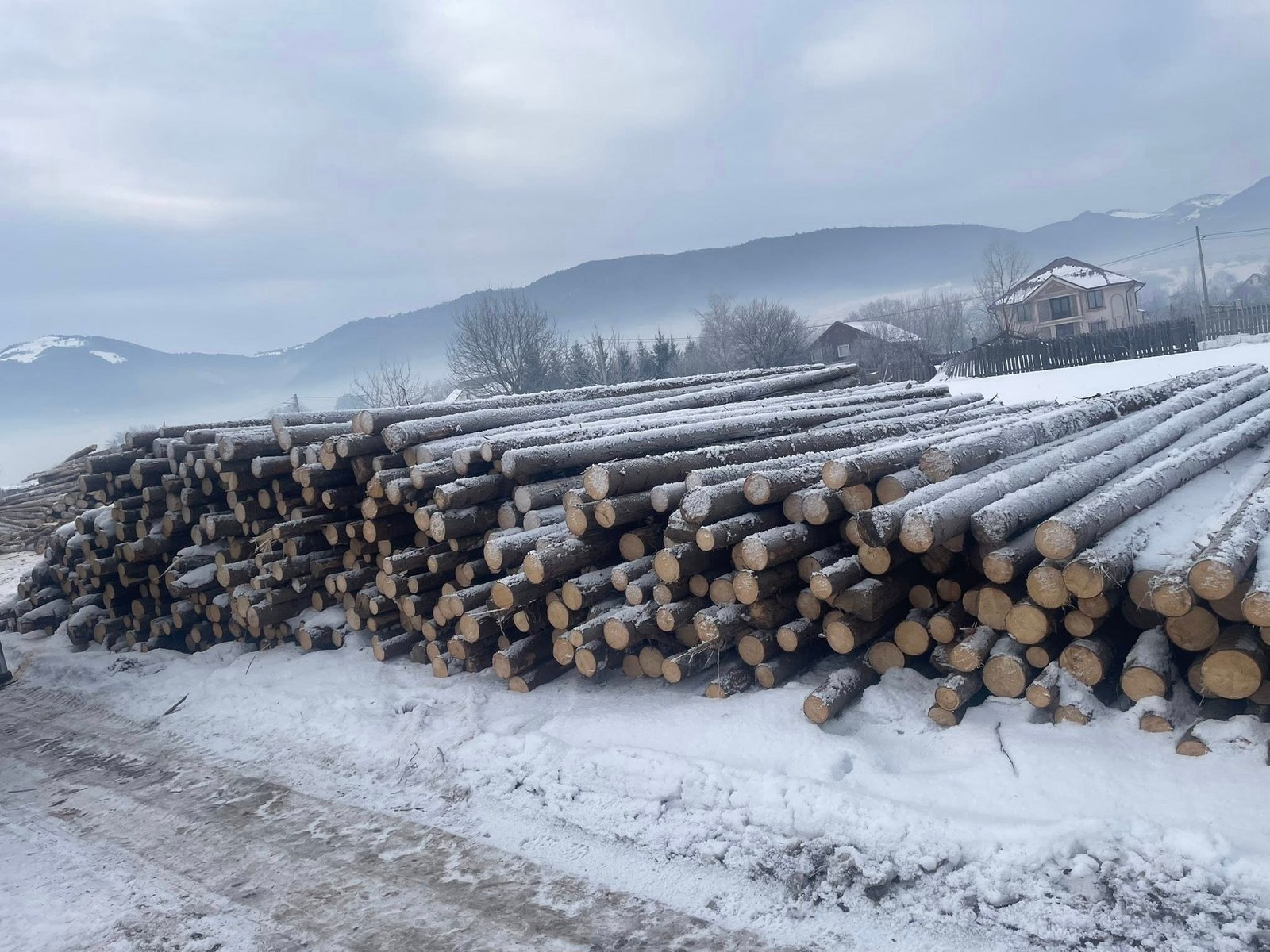 Vand bile manele lungimi 4-5-6m