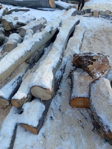 Vând lemne esența moale ofer transport împrejurări lemnele se vând la metru ster 0743487586