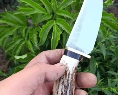 619050447_122153474954408701_2050340263322257896_n