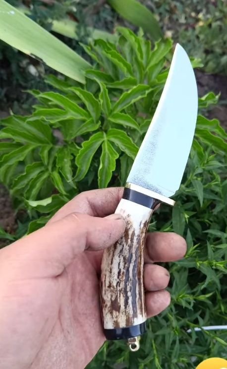 Am nevoie de coarne de cerb pt cuțite , are cineva de vânzare ?