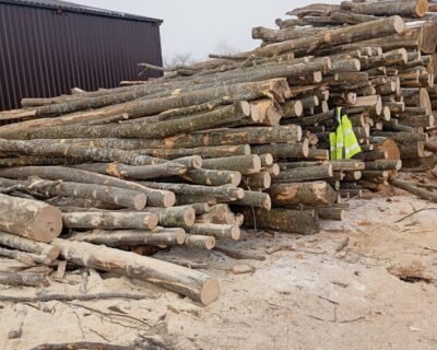 619074077_1606581410694132_4262663010513539812_n