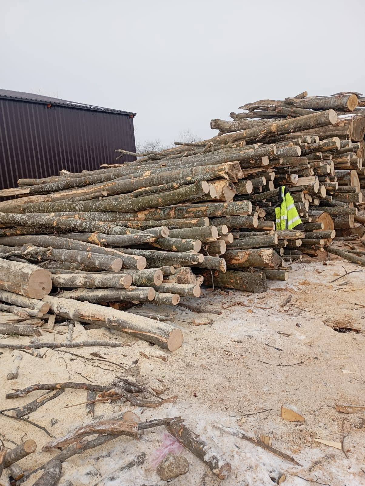 0726407224 VÂND LEMNE DE FOC ESENȚĂ TARE FAG TĂIATE LA DIMENSIUNEA DORITA TRANSPORT GRATUIT 550 lei metru cub detalii 0726407224