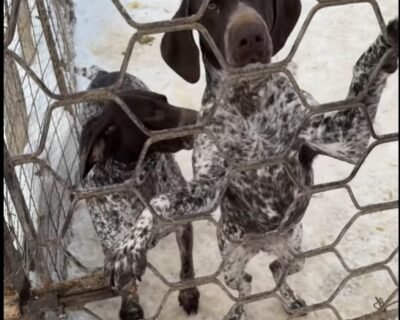 619074221_4272178999705442_1513114983315674431_n-1