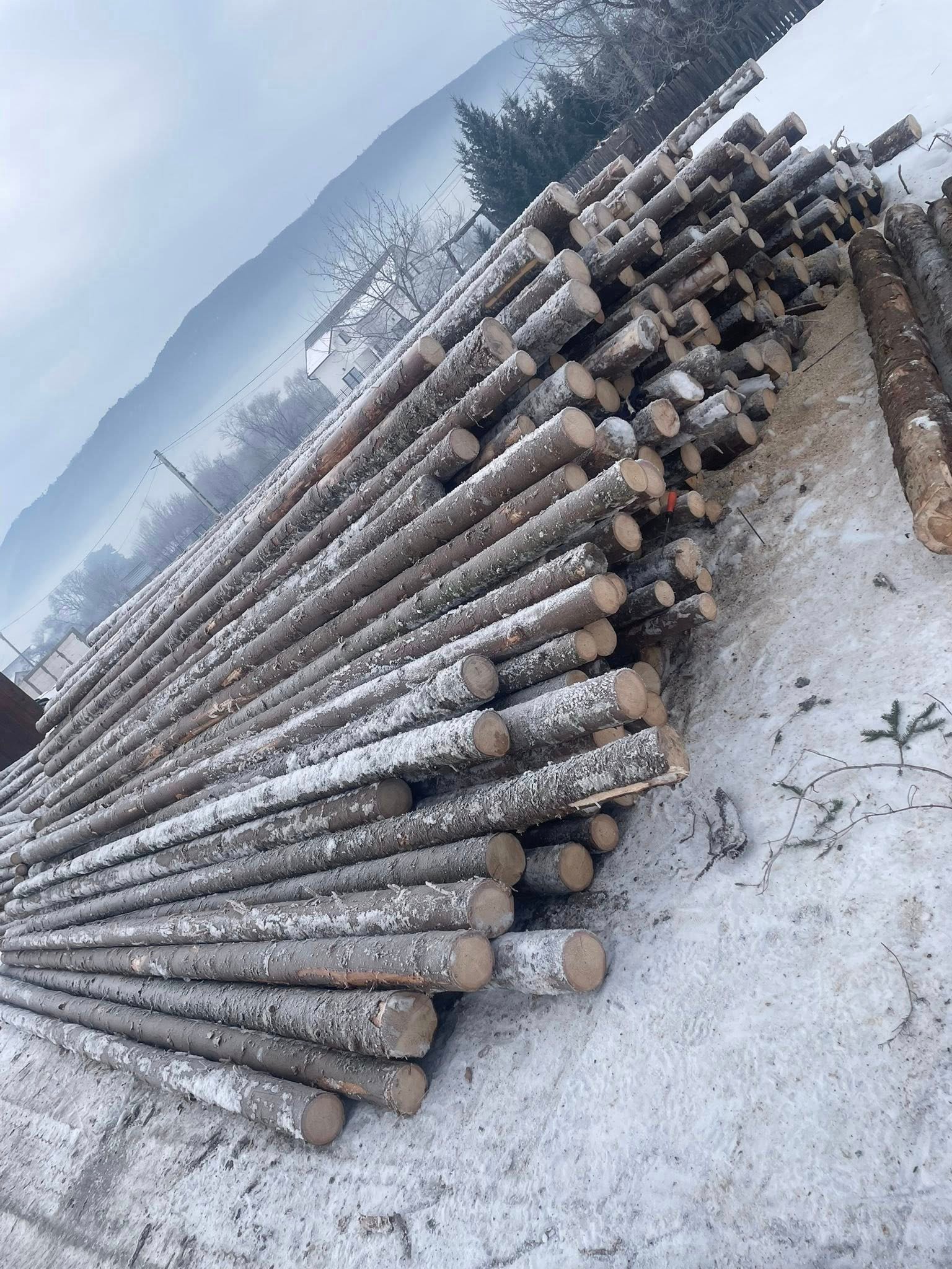 Vand bile manele lungimi 4-5-6m