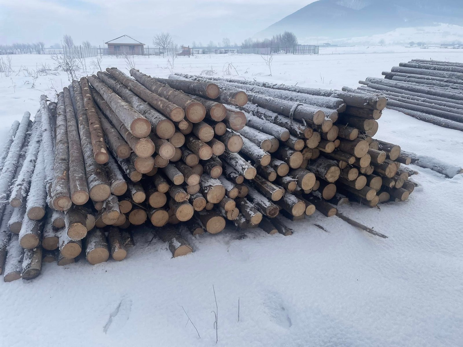 Vand bile manele lungimi 4-5-6m