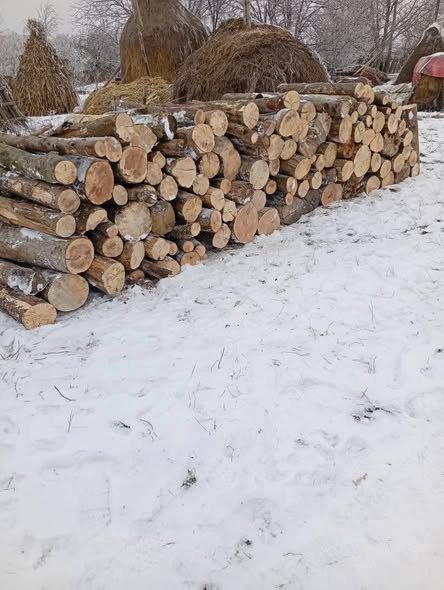 Vând lemne esența moale ofer transport împrejurări lemnele se vând la metru ster 0743487586