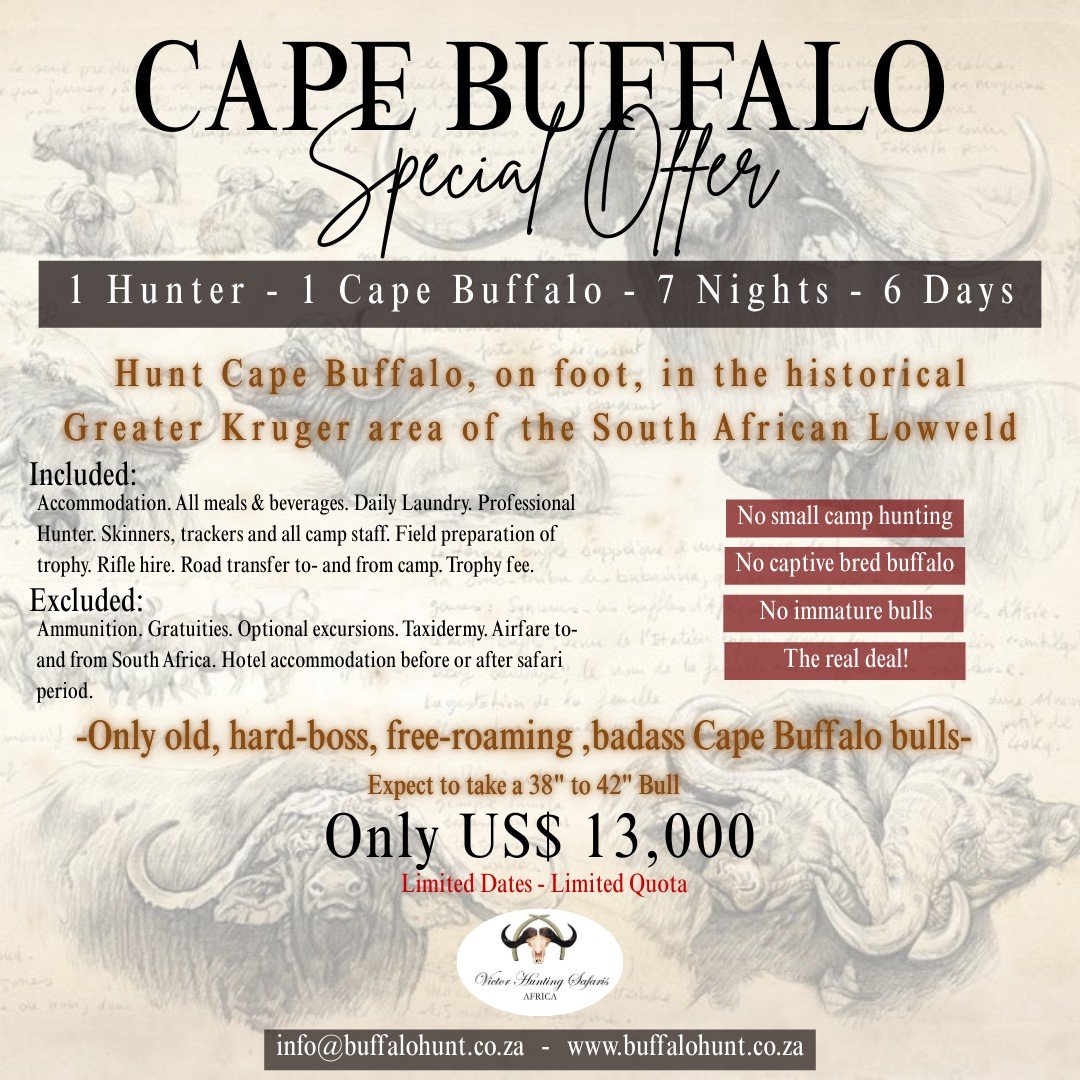 Vanatoare Greater Kruger din Lowveld-ul sud-african.