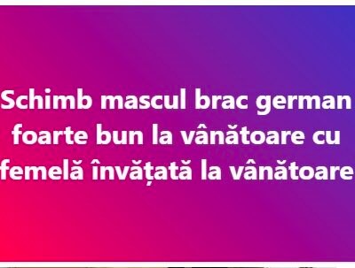 619206995_3328500183966224_314671836778536558_n-1