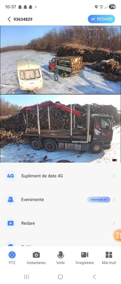 Lemn foc frasin uscat 0761 862 538