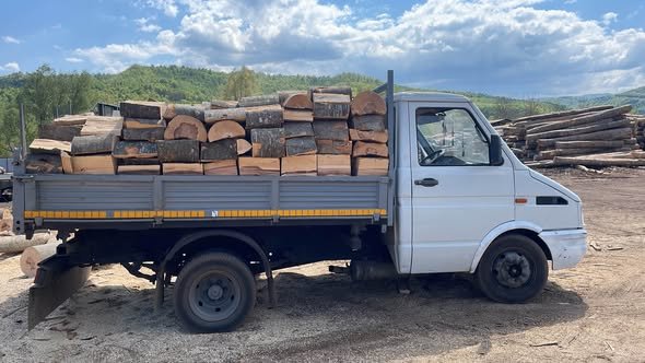 Vând lemne de foc – 450,00 lei