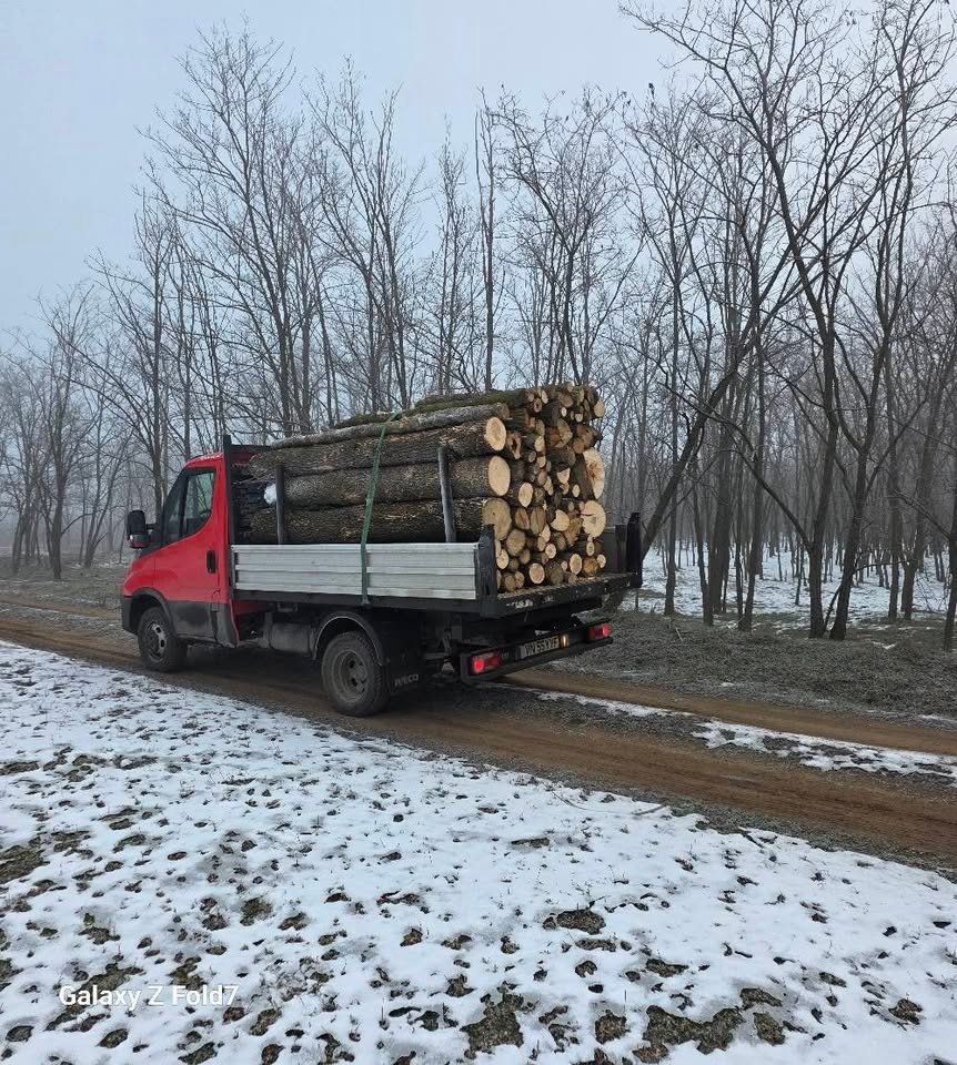 Lemn foc frasin uscat 0761 862 538