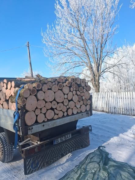 Vând lemn de foc 🌴🌳iesență tare ,fag carpen stejar frasin lemnul tăiat și despicat după preferința dorită de client ➡️0771630416