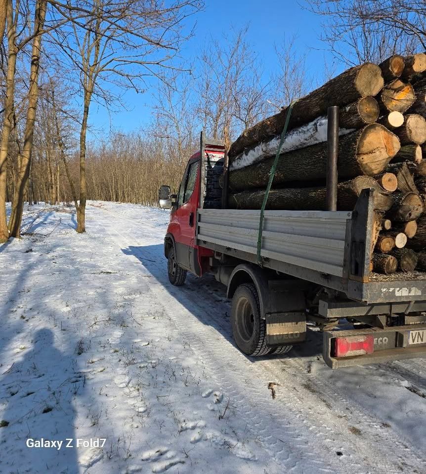 Lemn foc frasin uscat 0761 862 538