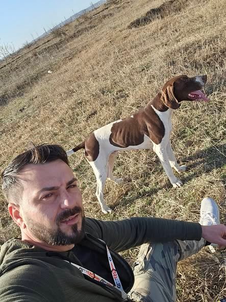 Mascul, vârstă 3 ani jumate, caută partener de vânătoare. Fără pedigree, se dă cu probă in teren.