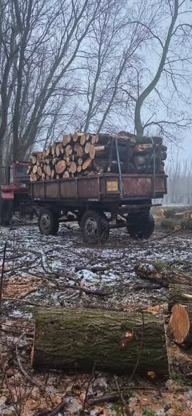 Lemne tăiate la metru salcie și plop!!
