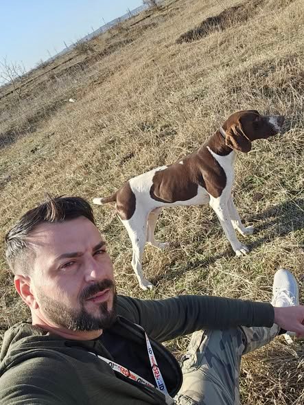 Mascul, vârstă 3 ani jumate, caută partener de vânătoare. Fără pedigree, se dă cu probă in teren.