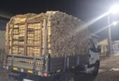 Lemne de foc fag uscat și salcâm pentru detalii sunați la 07266148755