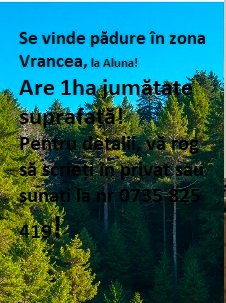 622315070_122192894594453794_5066465930930576809_n-1