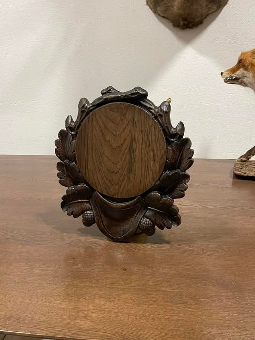 Panoplie suport colți mistreț