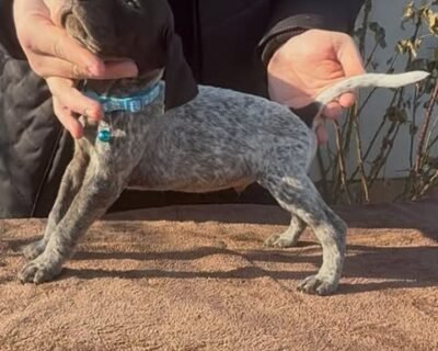 622373146_3487627911400521_425240074722760812_n