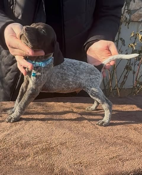 Disponibili pentru rezervare 0762325797