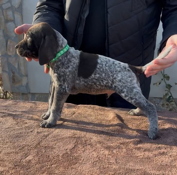 Disponibili pentru rezervare 0762325797