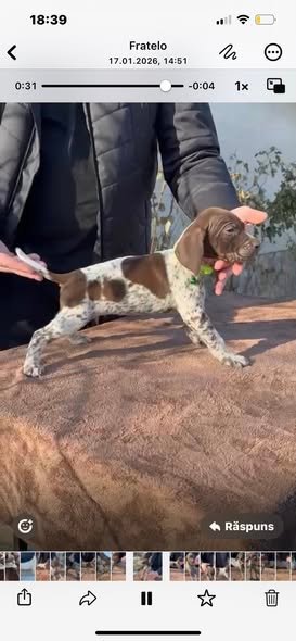 Disponibili pentru rezervare 0762325797