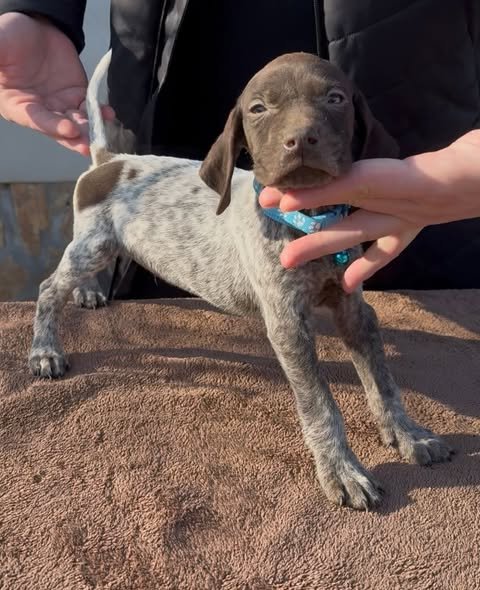 Disponibili pentru rezervare 0762325797