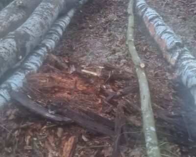 622814087_122106869325218571_6533027019379309908_n