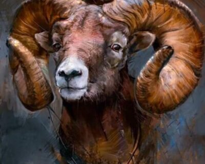 FB_IMG_1715492826604-485×530-1