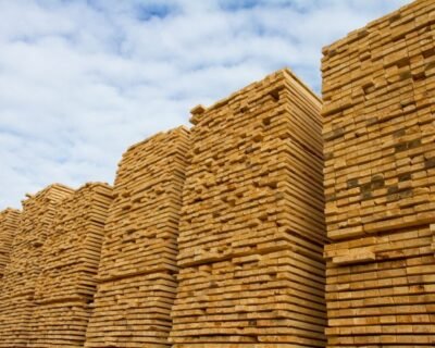 depozit-lemne-1024×680-1