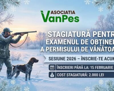 619467694_122313948194199434_706499218579693458_n