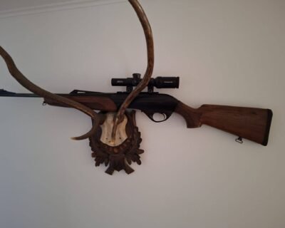 619562543_25626480037015771_6173394900962106662_n