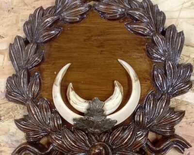 622812933_4428727094022935_971508840635284600_n