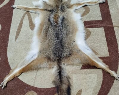 623276797_1945350676403761_4689307877277820290_n