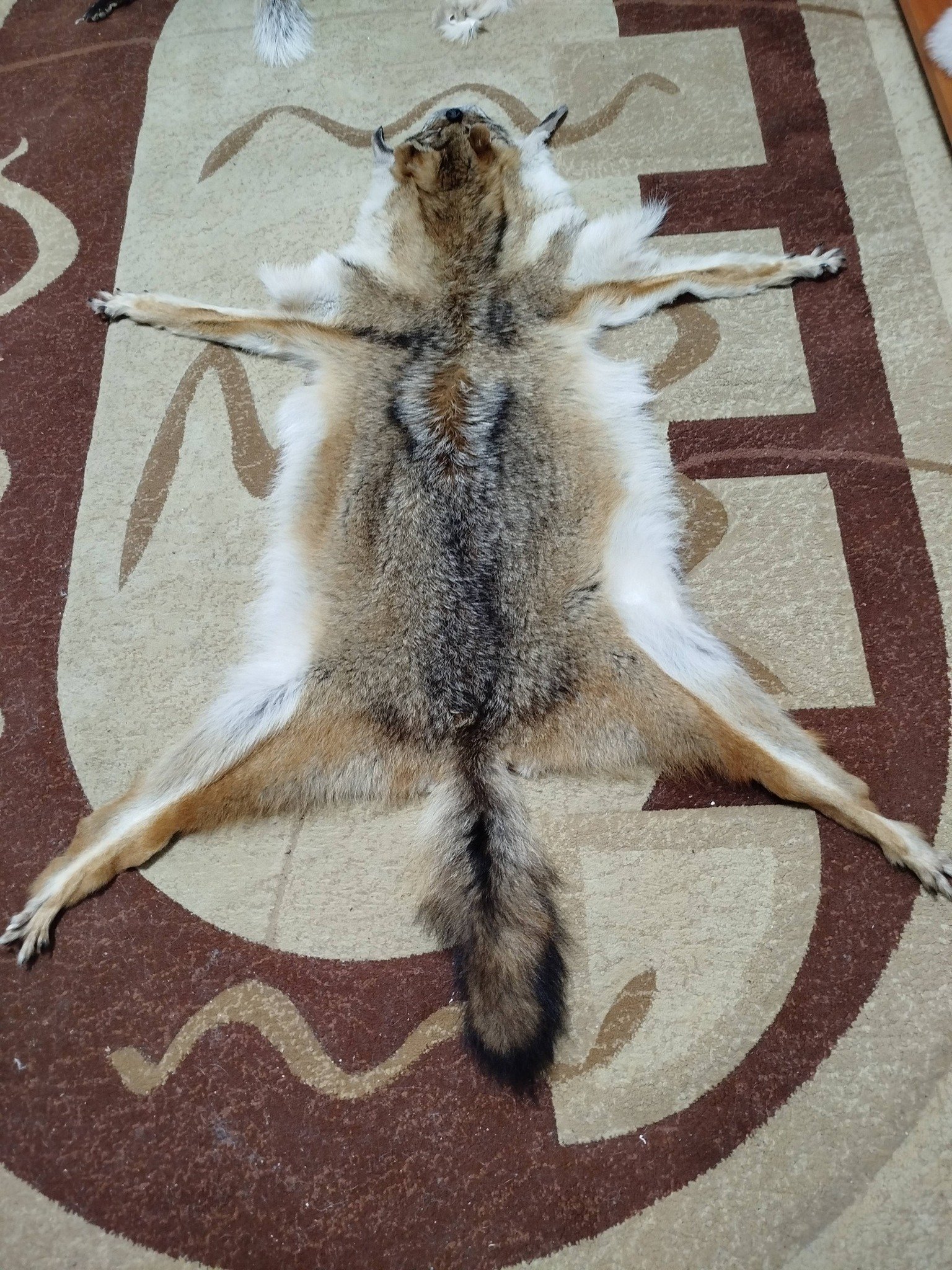 Blănițe de animale argăsite de mine , 0727 845 826 !