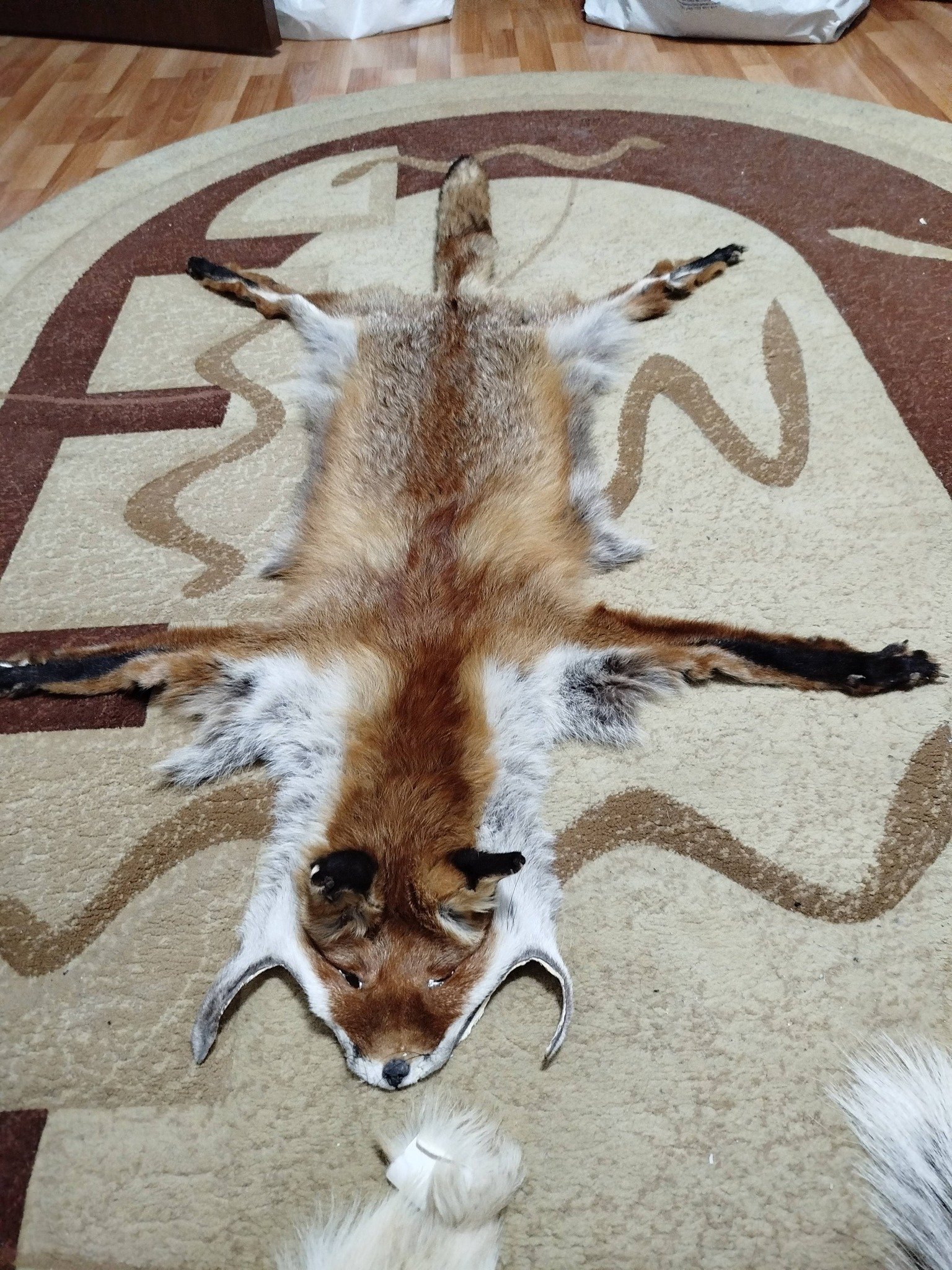 Blănițe de animale argăsite de mine , 0727 845 826 !