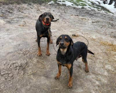 623973032_1515615539531005_6341882987376174144_n