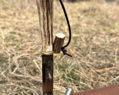 624128074_4565864223679505_9160974524059453219_n